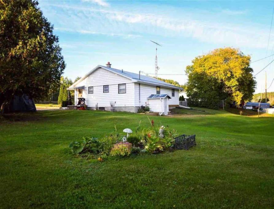 Private Cottage With Huge Private Dog Park! Barrys Bay Экстерьер фото