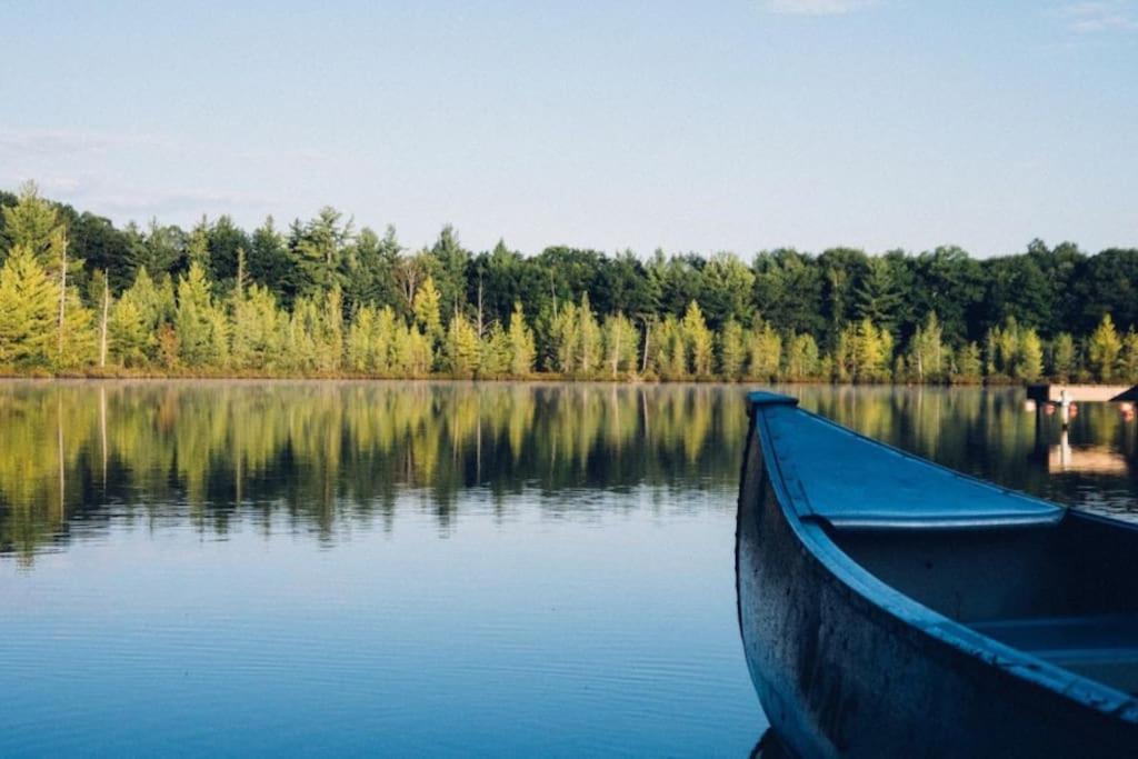 Private Cottage With Huge Private Dog Park! Barrys Bay Экстерьер фото